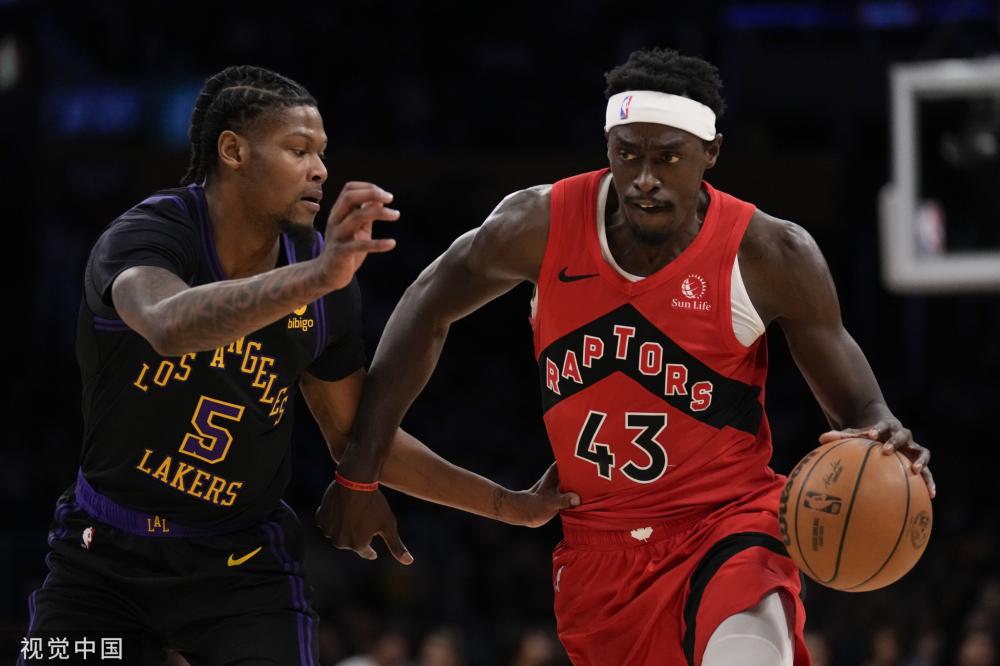 对项目的了 对项目的了